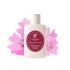 Laundry Concentrated Perfume Coccola 100 ml